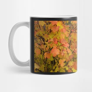 Autumn Leaves Mug